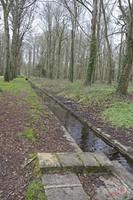 Cjp_2010_03_31_114628 (1).jpg